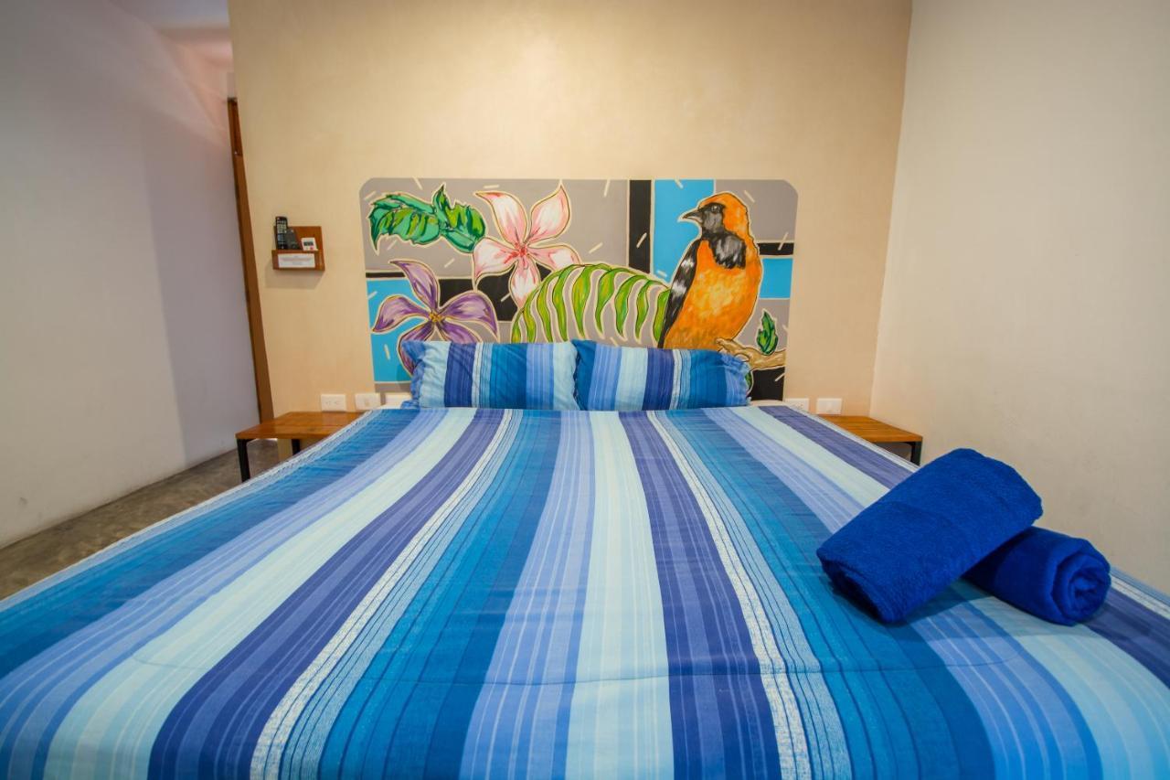 Hotel Villas San Ignacio Playa del Carmen Dış mekan fotoğraf